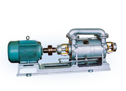 2SK系列兩級水環真空泵